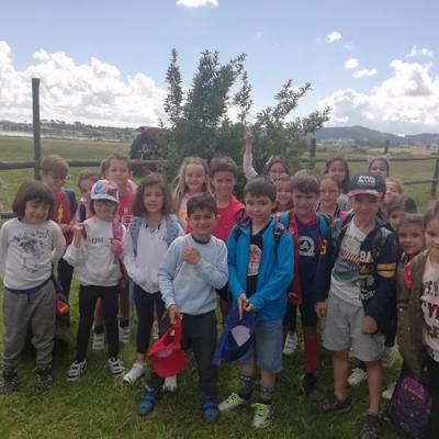 Img 20190614 113121