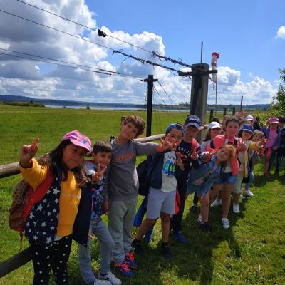 Img 20190616 005809