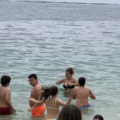 Img 2594