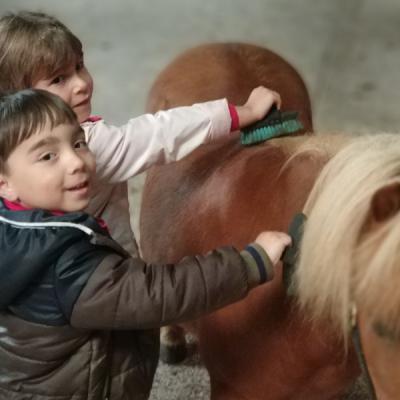 Img 20190619 123958
