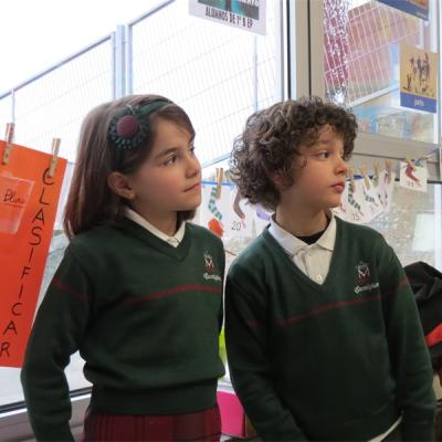 31 Img 4716