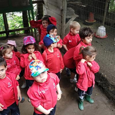 Img 20180608 131408