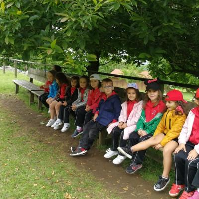 Img20180612wa0017 0