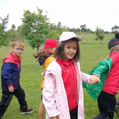 Img20180612wa0018