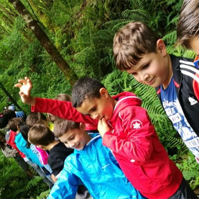 Img20180615wa0015