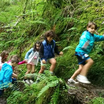 Img20180615wa0066