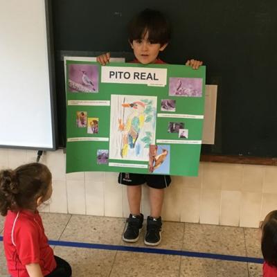 Foto 31116 9 39 58