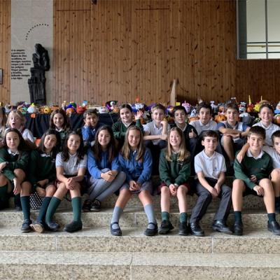 Cdenerea5a
