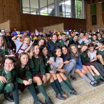 Cdenerea5b