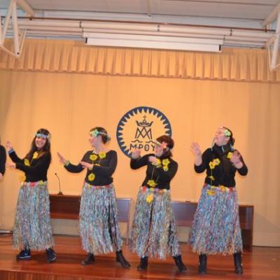 Dsc 0097 800x530