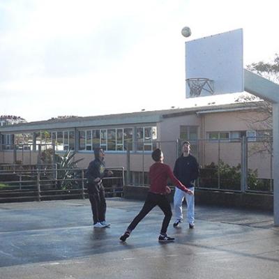 Bachrecreo2