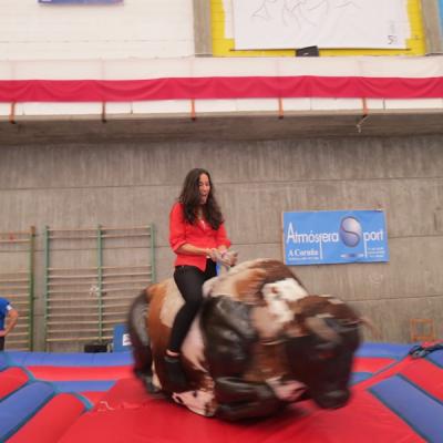 Img 2887
