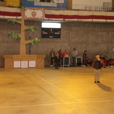 Img 1594