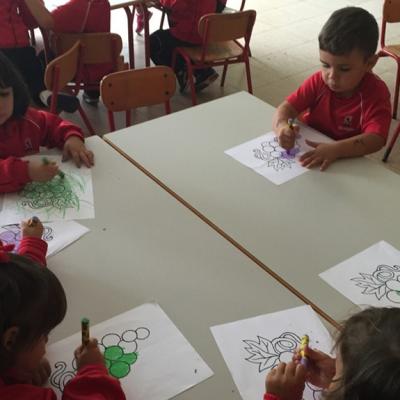 3 Aos A 8