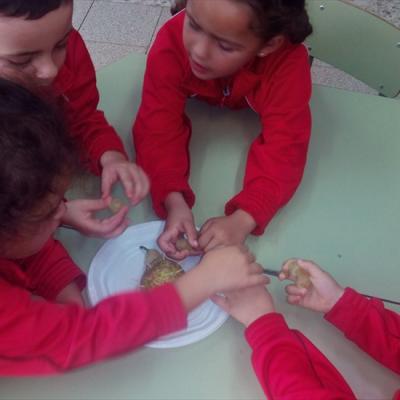 Img 20151016 1530582