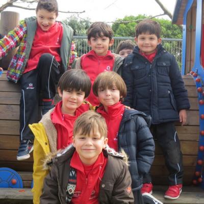 Img 0806
