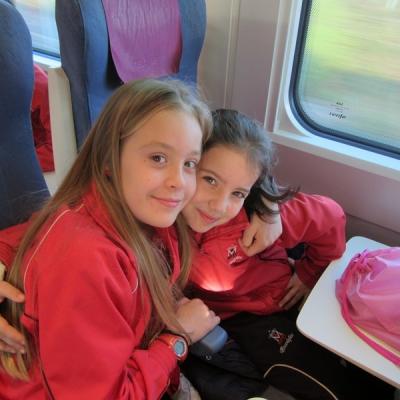 Img 3637