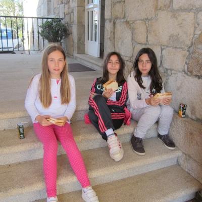 Img 4035