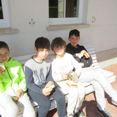 Img 4037