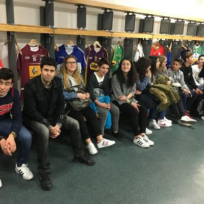 Img 1675