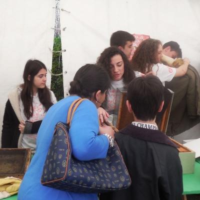 01 Dscn1655