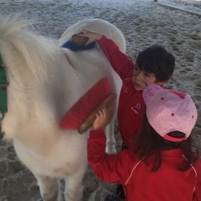 Foto 20516 13 12 04