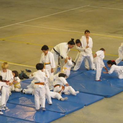 Img 1156b
