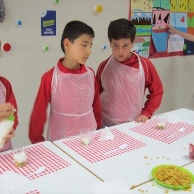 Img 4343
