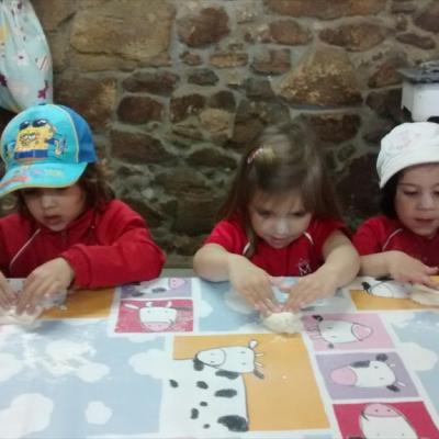Img 20150602 115949883