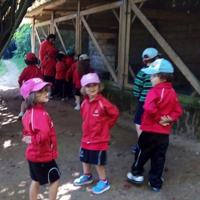 Img 20150602 120553