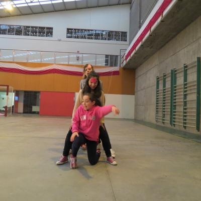 Img 3548