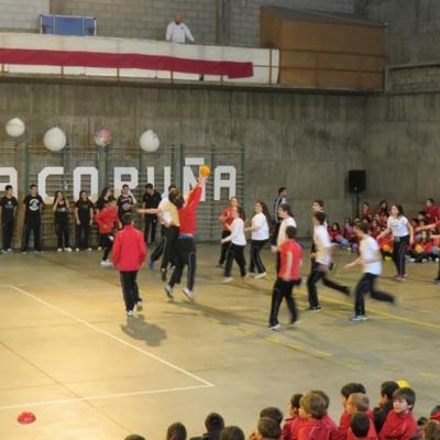 Img 4698