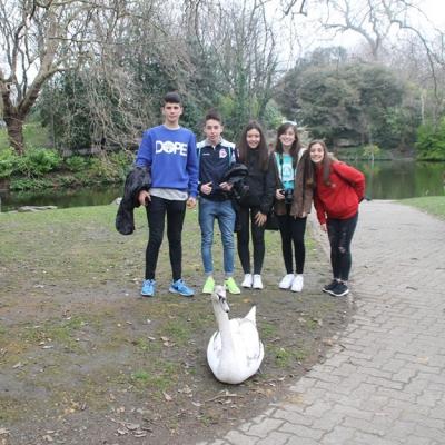 Img 9434