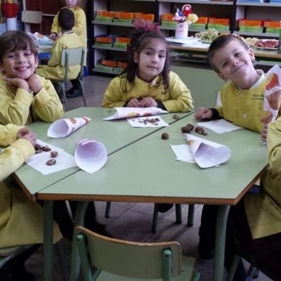 6a Foto 2