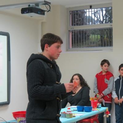 Img 3782