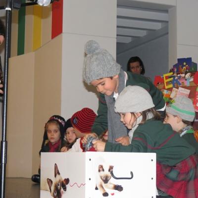 Img 3888