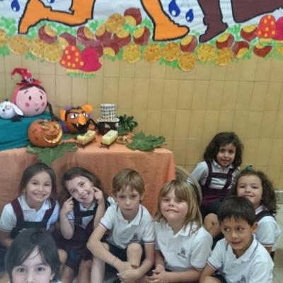 6c Foto 6 Copiar
