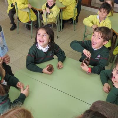 Img 4560