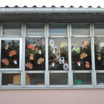 Ventana8