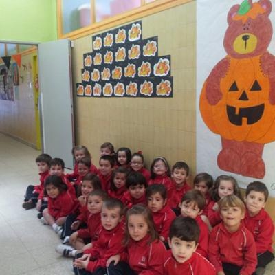 6b Foto 5