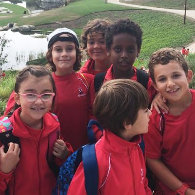 3y4ep6