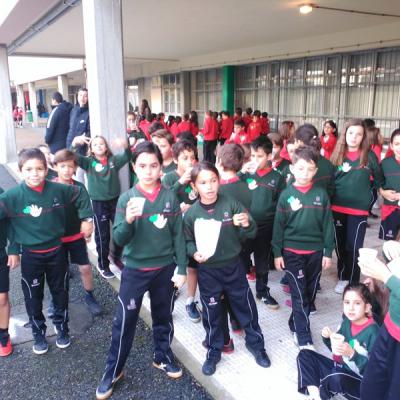 Img 20181123 094138