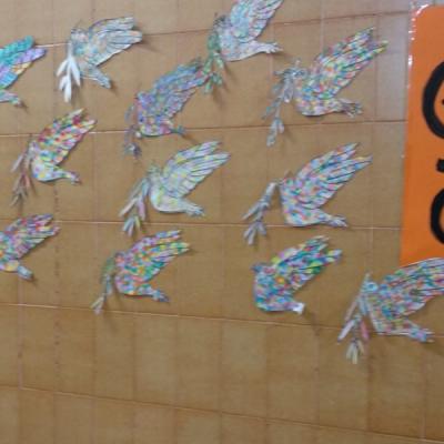Photo20190129143222 2