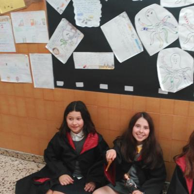 Img 20190301 151713