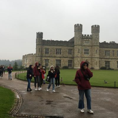 Img 7479