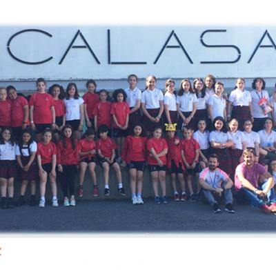 Movcalasanz